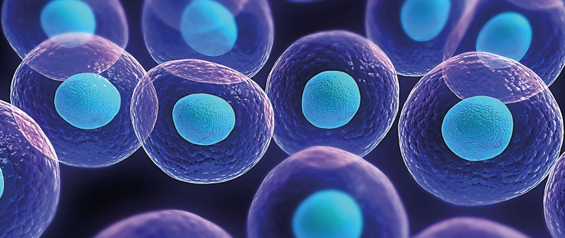 Karakteristike matičnih stanica